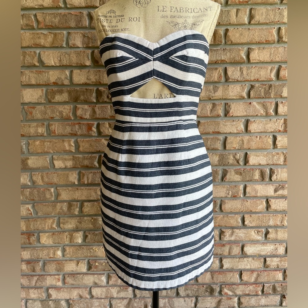 Anthropologie Hutch Blue and White Strapless Bodycon Dress.